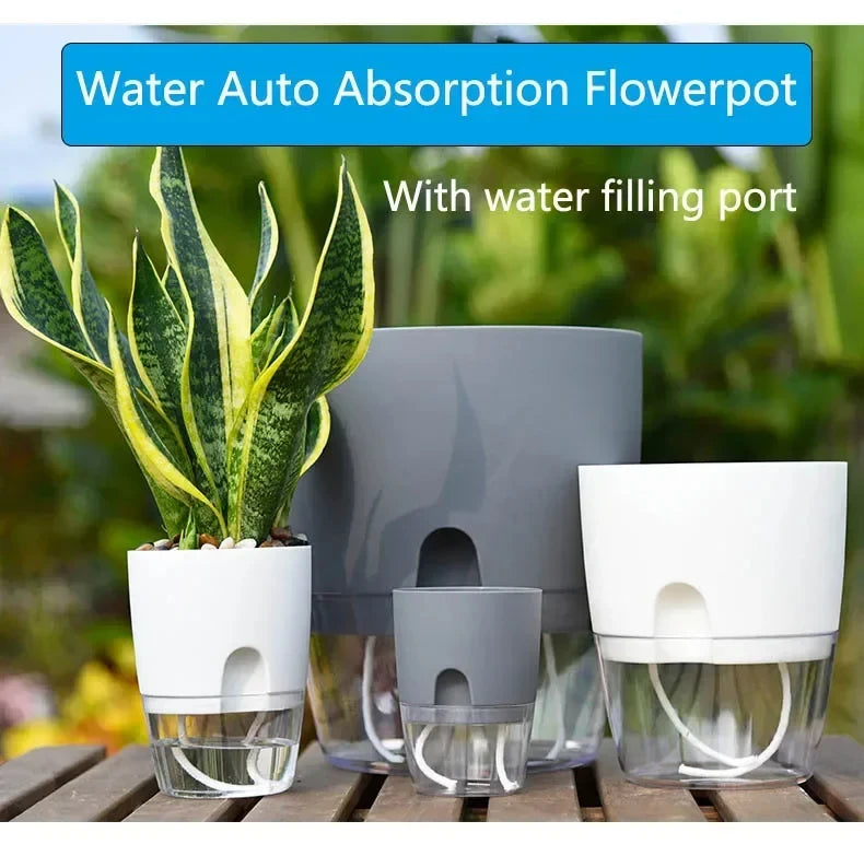 Vaso Autoirrigável Transparente