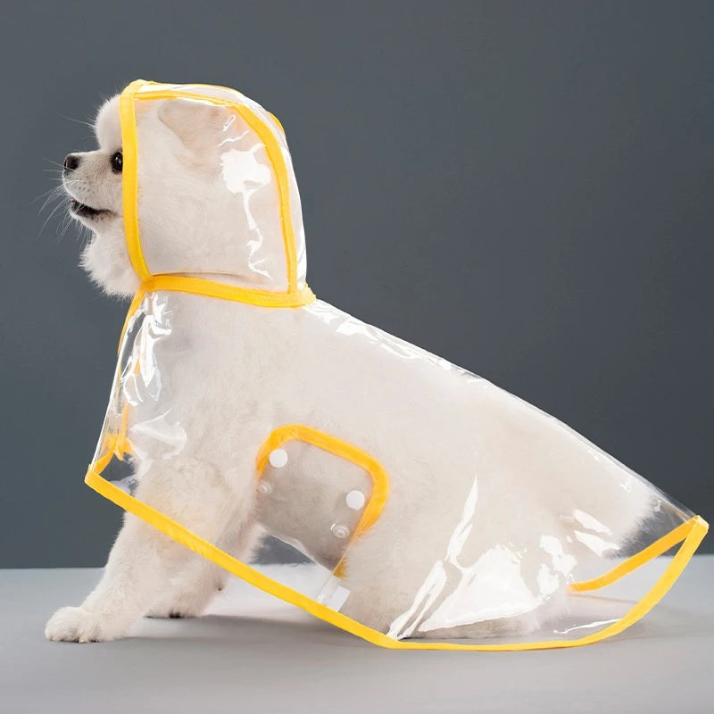 Capa de Chuva Transparente para Cães