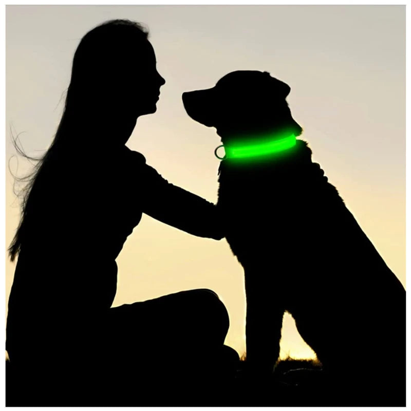 Coleira de LED Recarregável para Cães e Gatos