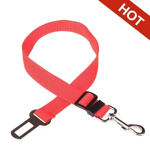 Cinto de Segurança para Cães no Carro