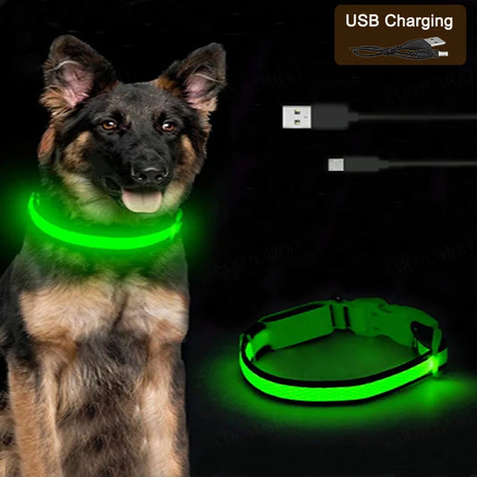 Coleira de LED Recarregável para Cães e Gatos