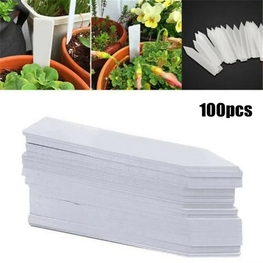 Etiquetas para Plantas – Kit 100