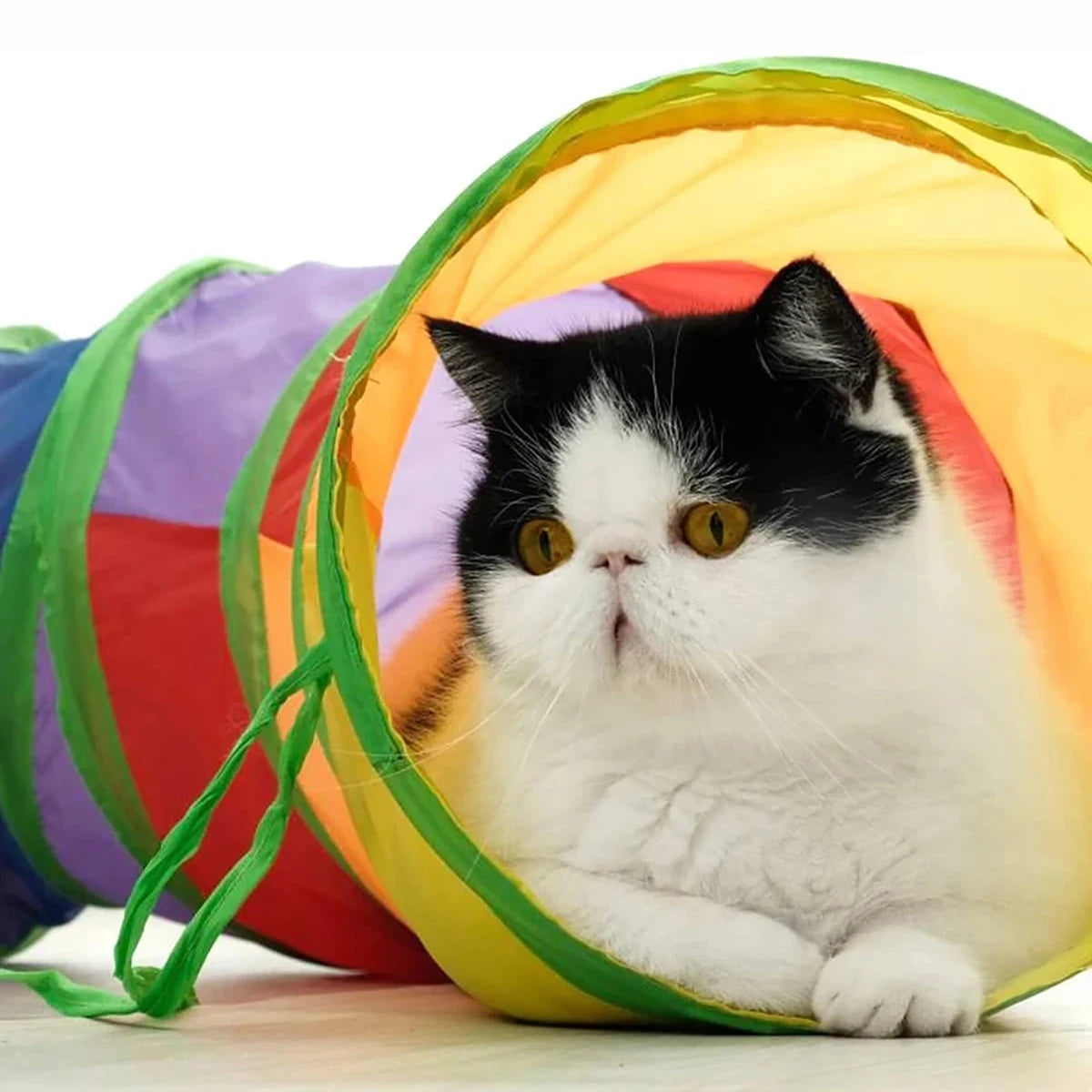 Túnel Dobrável para Gatos