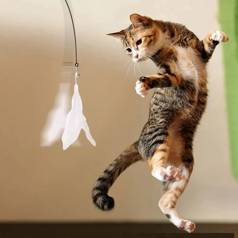 Varinha para Gatos com Penas e Guizo – Ventosa