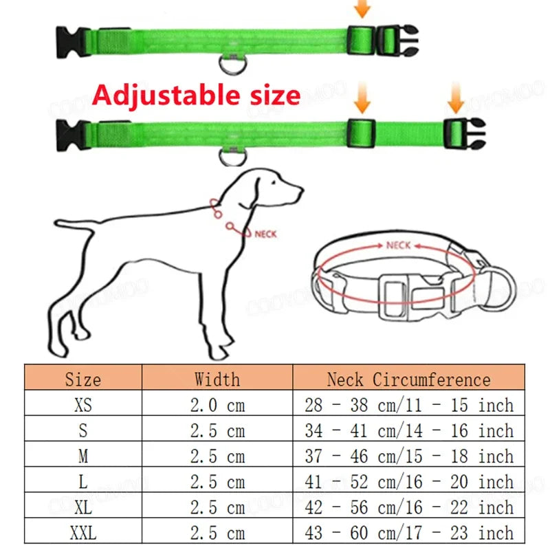 Coleira de LED Recarregável para Cães e Gatos