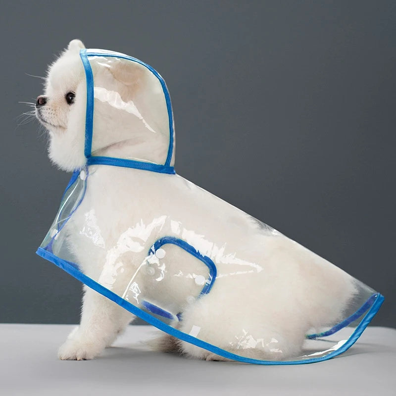 Capa de Chuva Transparente para Cães