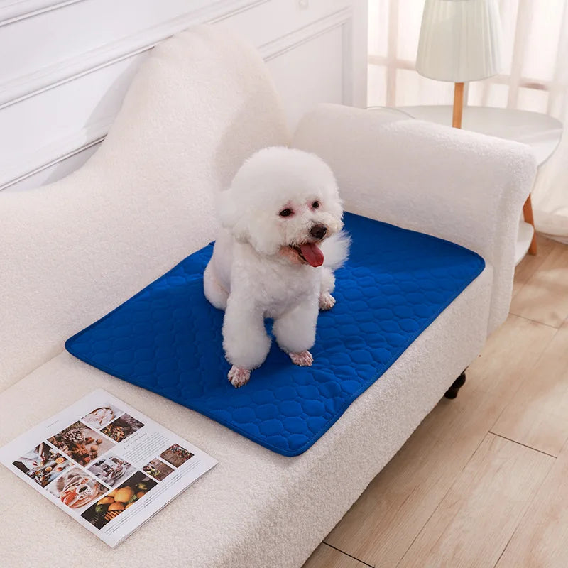Tapete Higiênico Lavável para Cães
