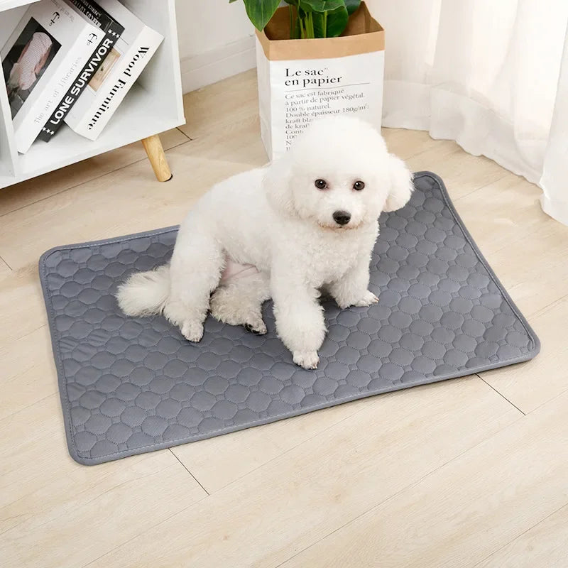 Tapete Higiênico Lavável para Cães