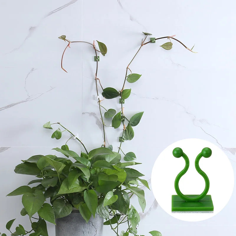Clipes Fixadores de Plantas Trepadeiras na Parede