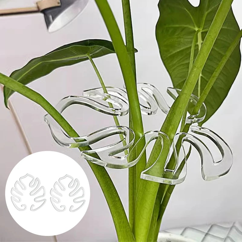 Tutor de Plantas Decorativo em Formato de Costela-de-Adão