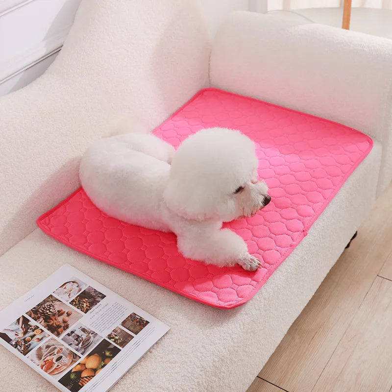 Tapete Higiênico Lavável para Cães