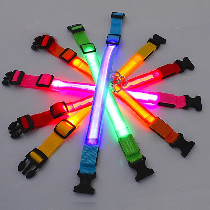 Coleira de LED Recarregável para Cães e Gatos