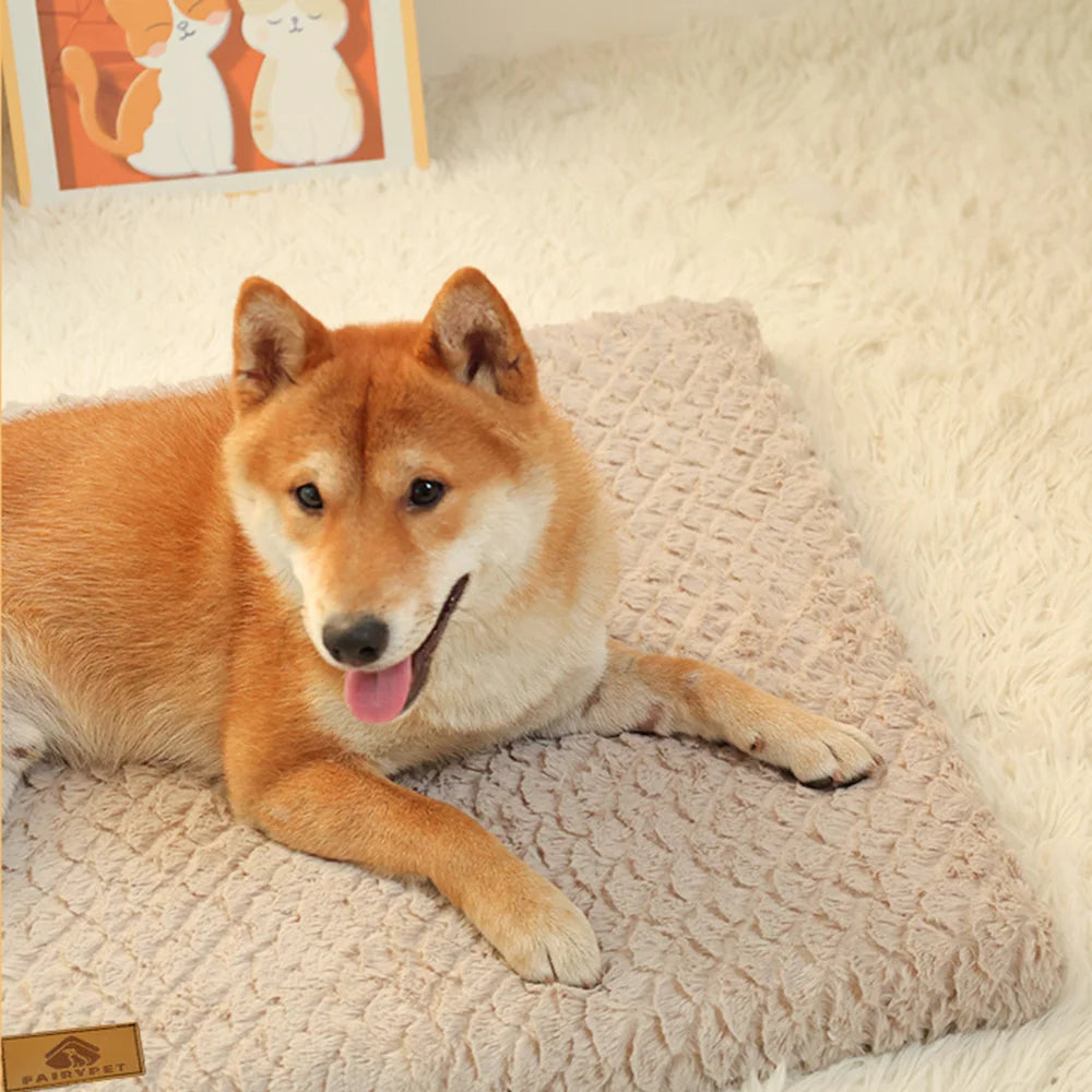 Cama Ortopédica para Cães com Capa Removível