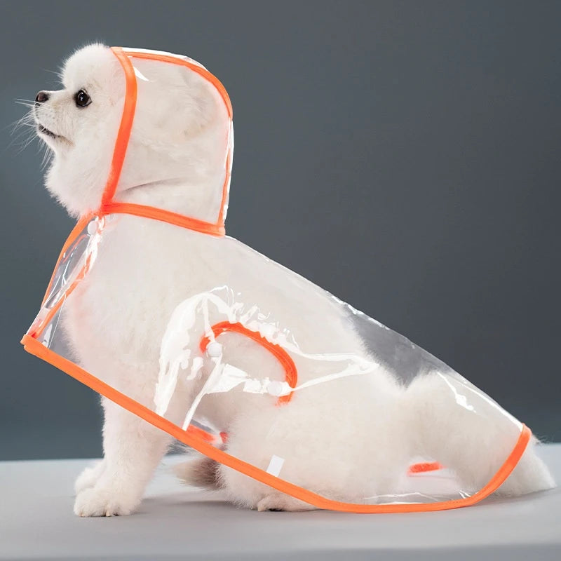 Capa de Chuva Transparente para Cães
