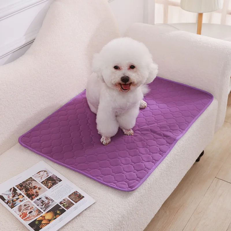 Tapete Higiênico Lavável para Cães