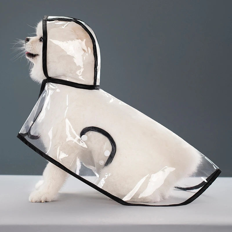 Capa de Chuva Transparente para Cães