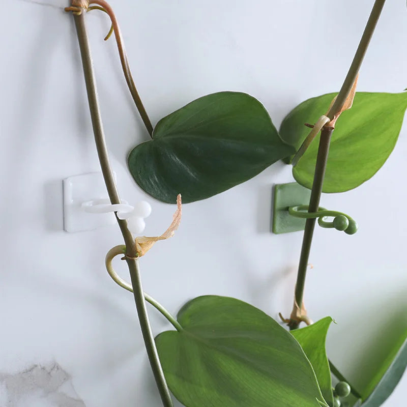 Clipes Fixadores de Plantas Trepadeiras na Parede