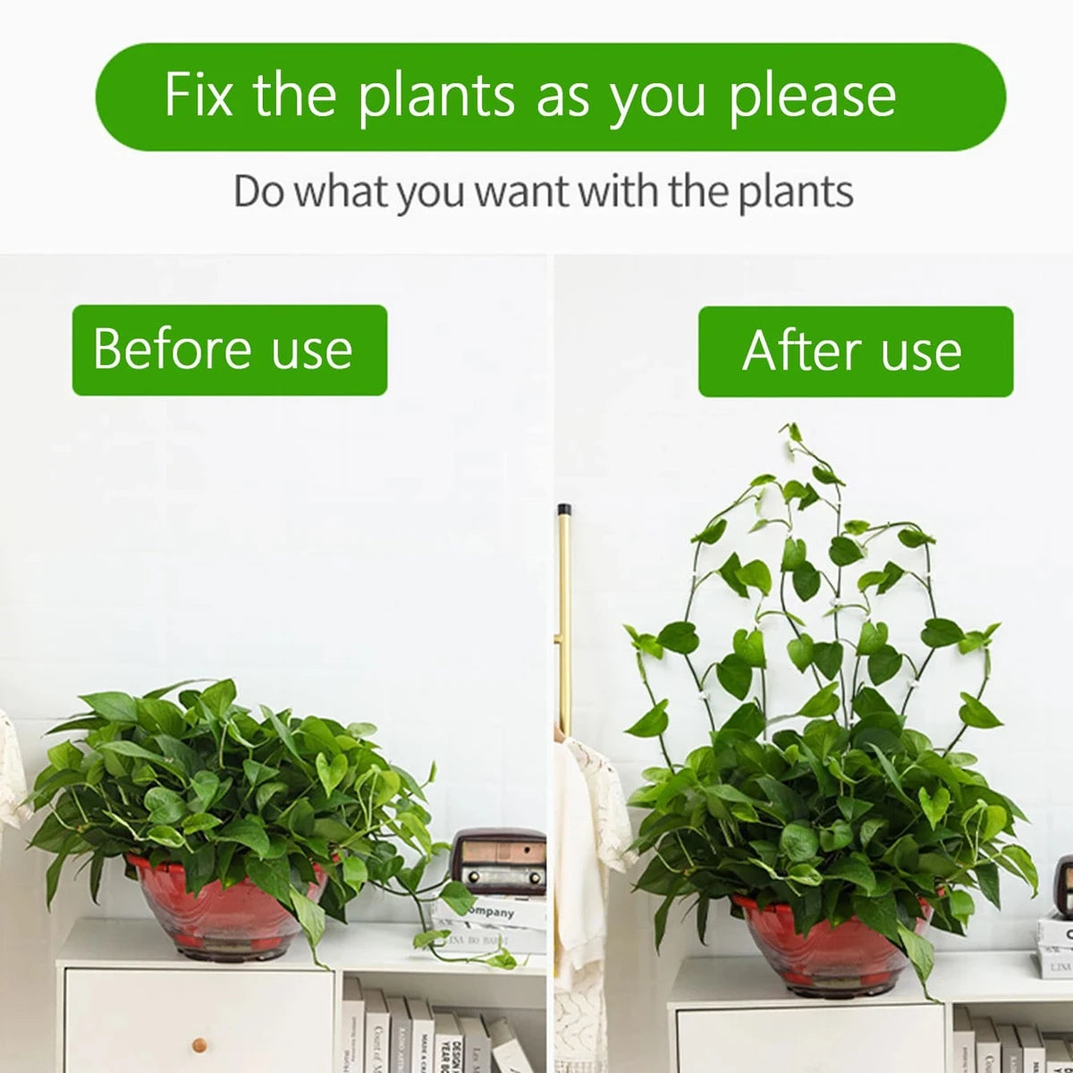Clipes Fixadores de Plantas Trepadeiras na Parede