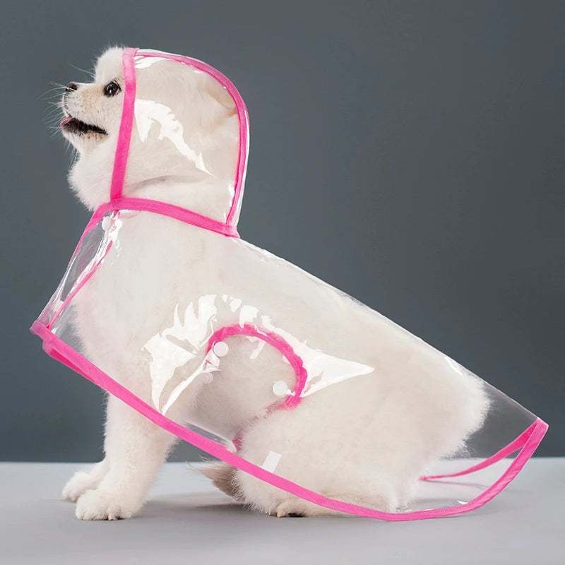 Capa de Chuva Transparente para Cães