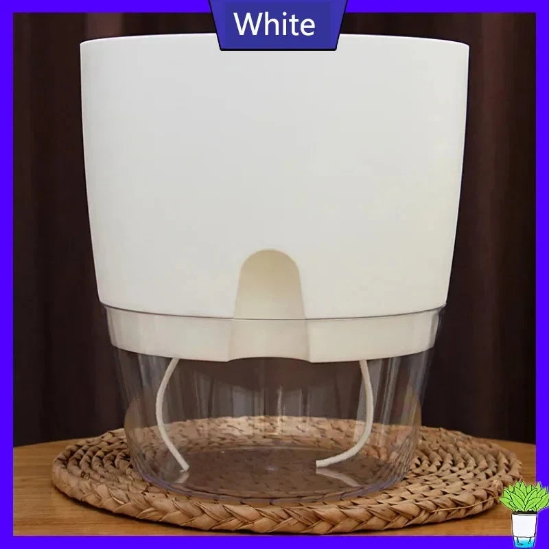 Vaso Autoirrigável Transparente