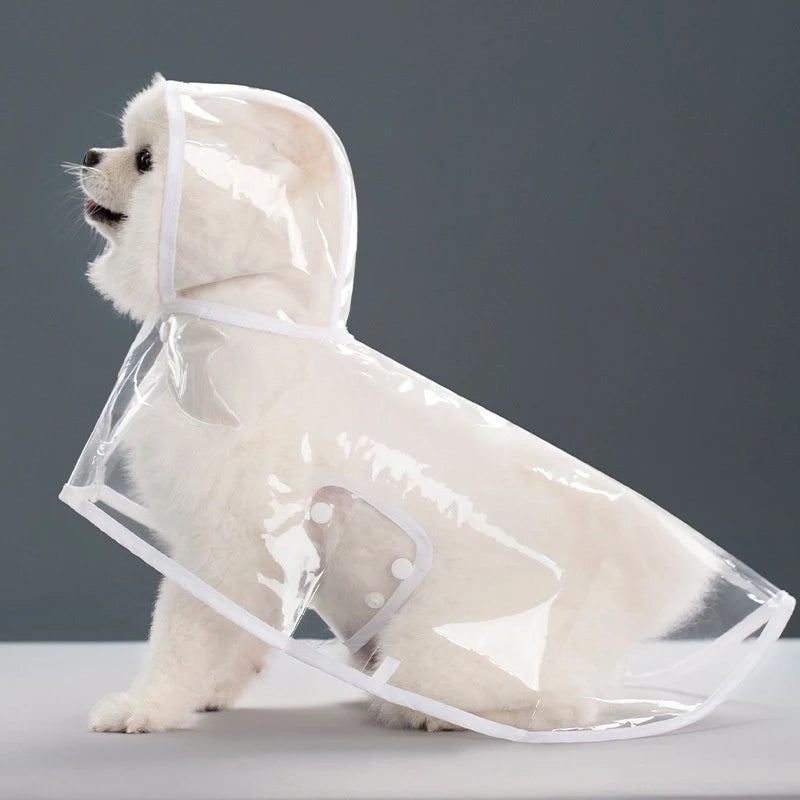 Capa de Chuva Transparente para Cães