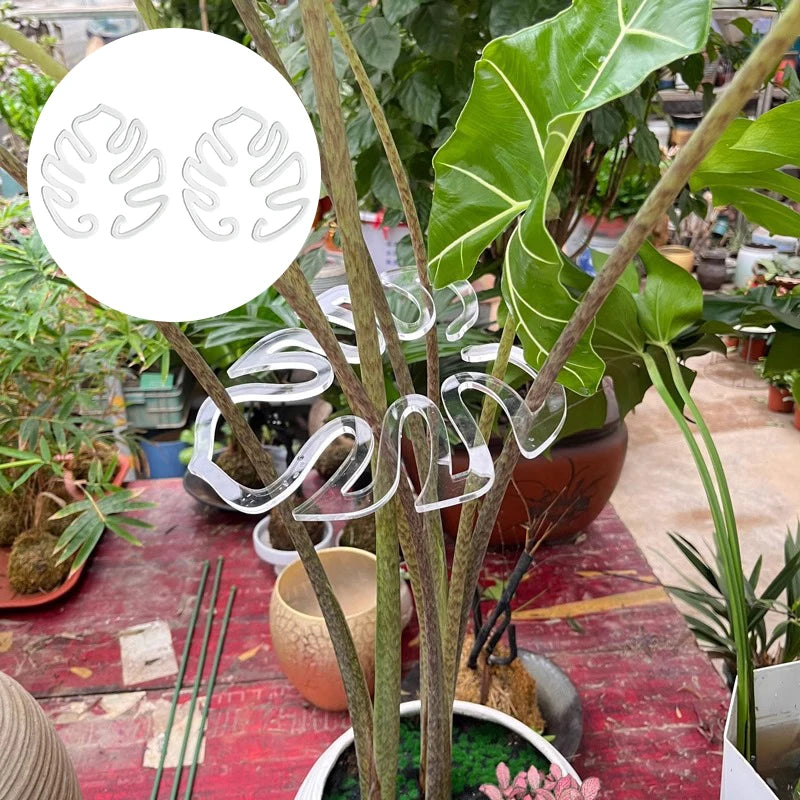Tutor de Plantas Decorativo em Formato de Costela-de-Adão