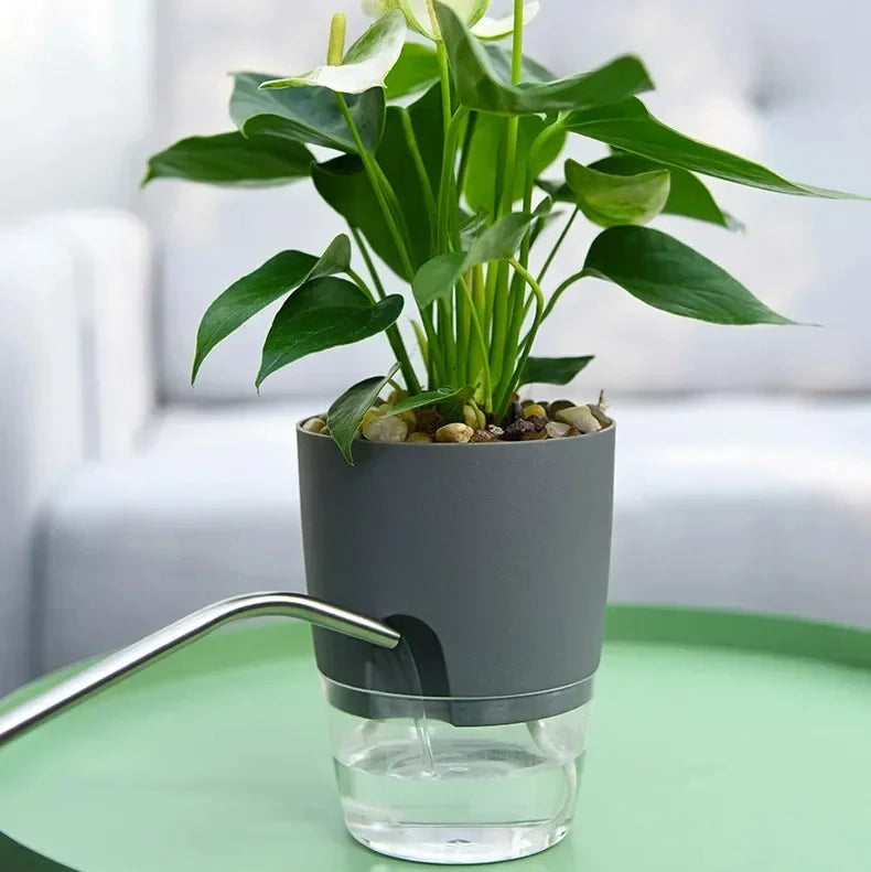 Vaso Autoirrigável Transparente